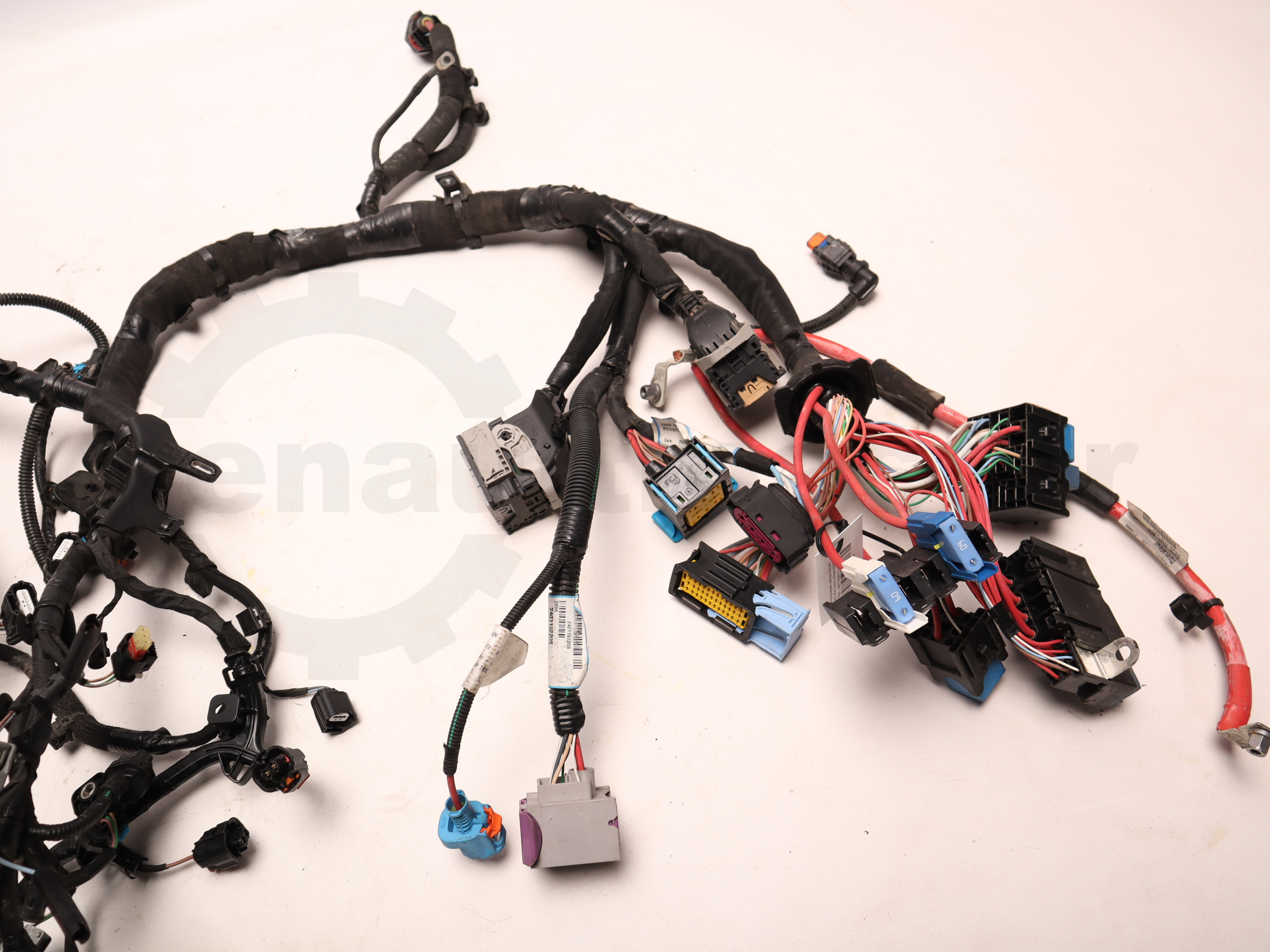 Електропроводка двигуна Renault Trafic (Fiat Talento, Nissan NV300) 2020, - 240115220S for parts Б/В